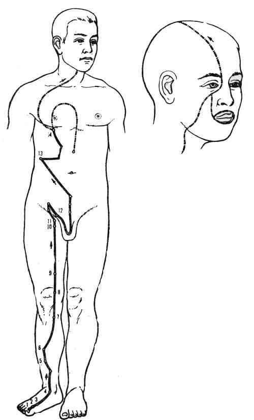 content_850_2115771503_1