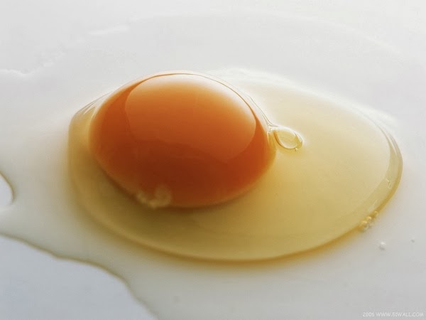 raw-egg