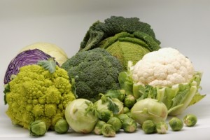 Brassicaceae-520x346