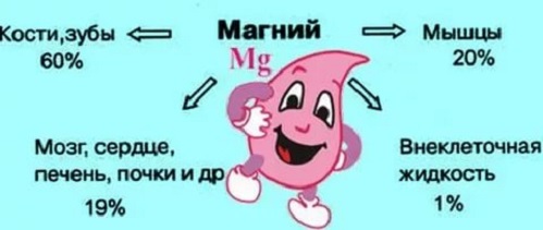 Магний, а НЕ кальций, является ключом к здоровым костям и сердцу! СМОТРЕТЬ ВСЕМ!