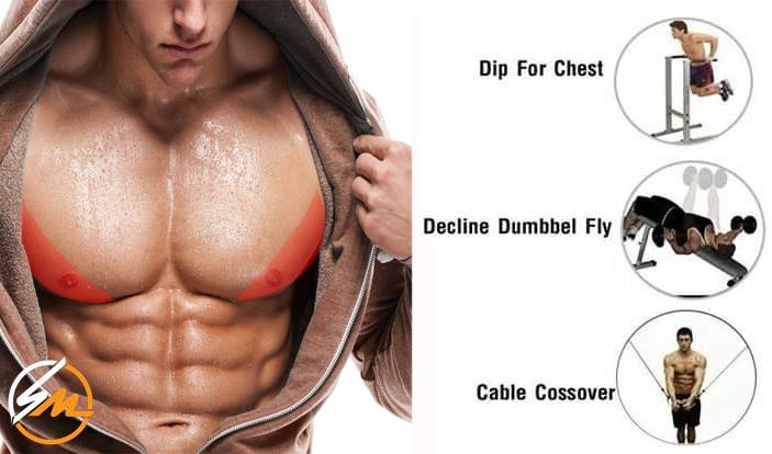 А вы знаете, какие упражнения эффективны для каждой области грудных мышц?