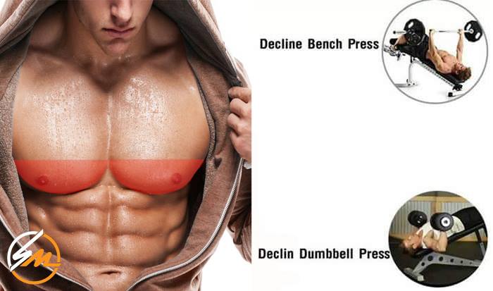 А вы знаете, какие упражнения эффективны для каждой области грудных мышц?