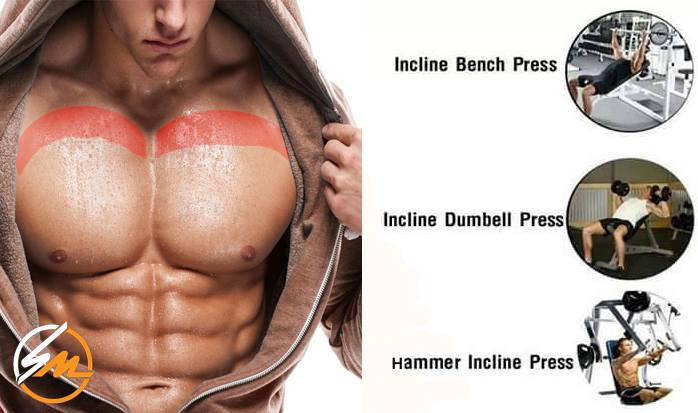 А вы знаете, какие упражнения эффективны для каждой области грудных мышц?