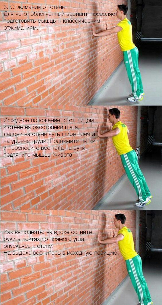 Тренировка в домашних условиях. 10 лучших вариантов отжиманий