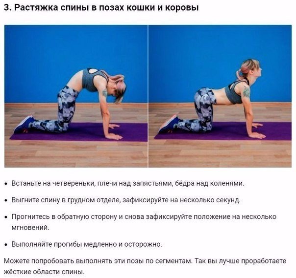 Комплекс упражнений для формирования красивой осанки