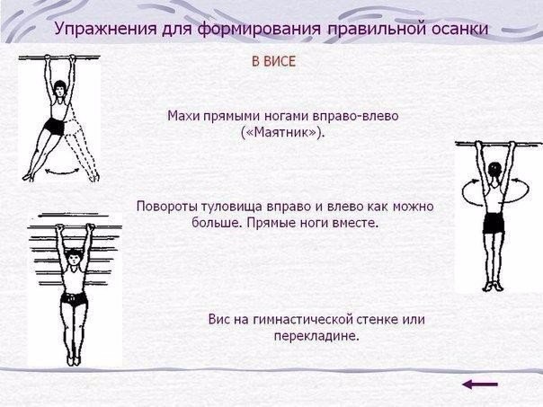 Тренировки против болей в спине и формирования красивой осанки