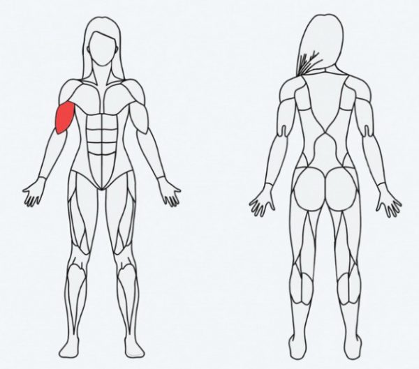 Как правильно выбрать упражнения для мышц, которые вы хотите проработать