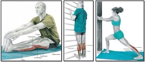 Упражнения для полноценной растяжки