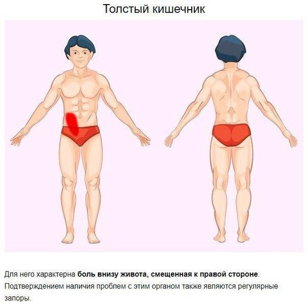 Несколько способов определить по месту локализации причину боли