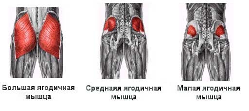 Подтягиваем «пятую точку»: Как быстро накачать ягодицы