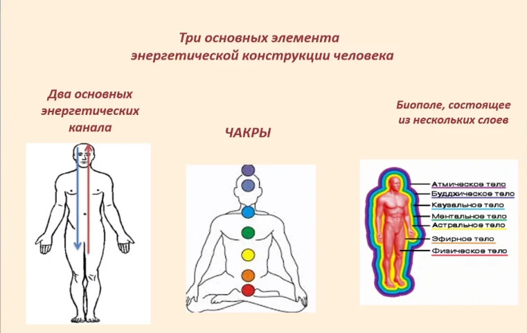 Первопричина всех болезней: самая важная статья